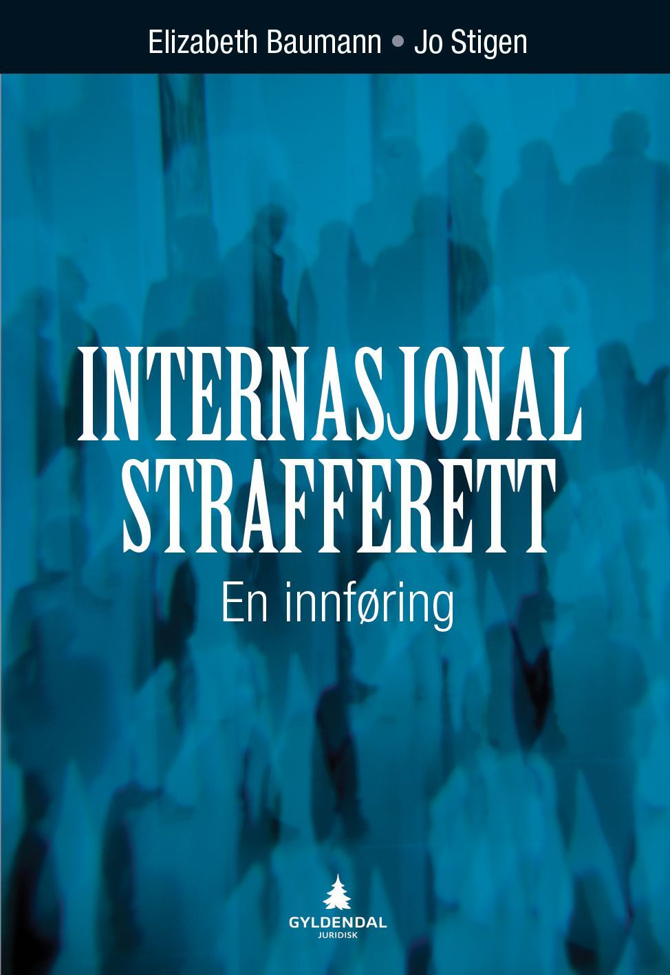 Internasjonal strafferett : en innføring