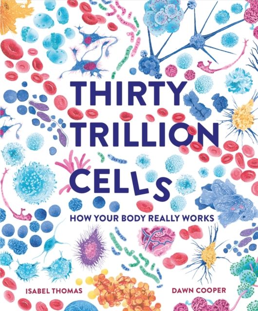 Thirty Trillion Cells : How Your Body Really Works