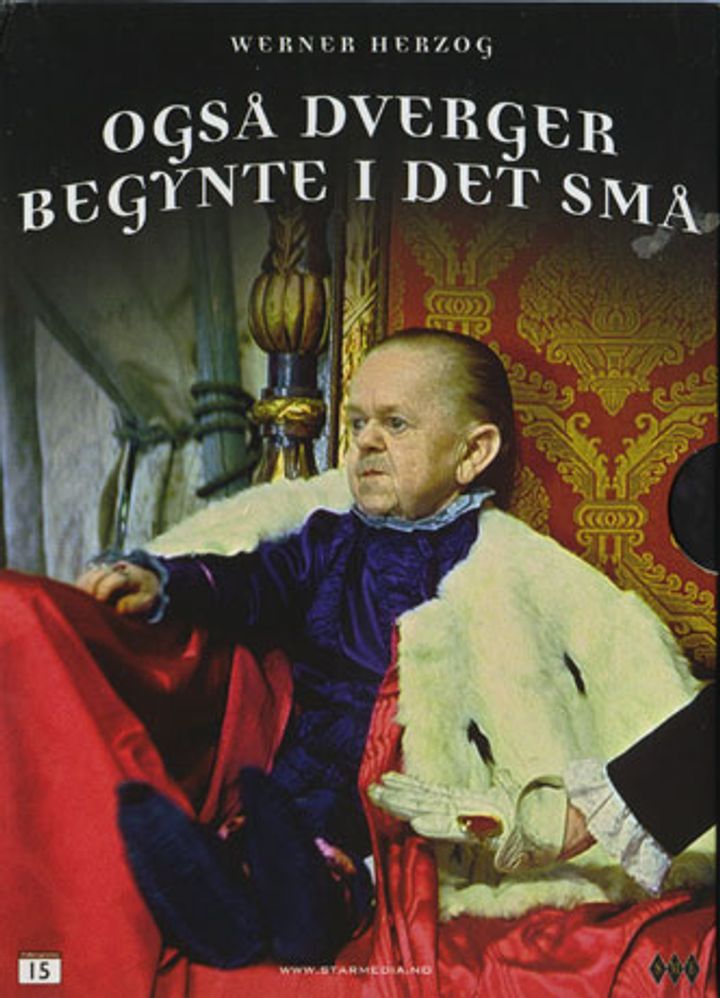 Også dverger begynte i det små