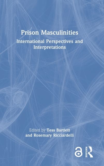 Prison Masculinities : International Perspectives and Interpretations
