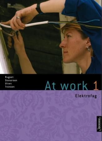 At work 1 : elektrofag