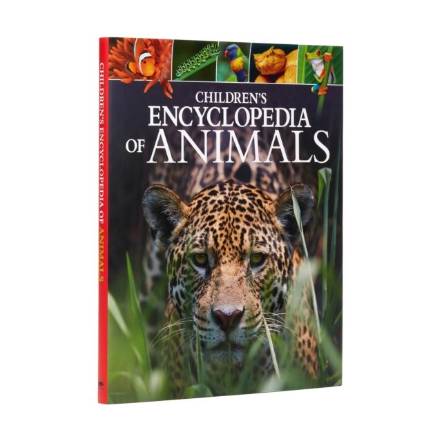 Children's Encyclopedia of Animals : Take a Walk on the Wild Side!