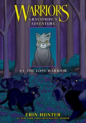 The lost warrior