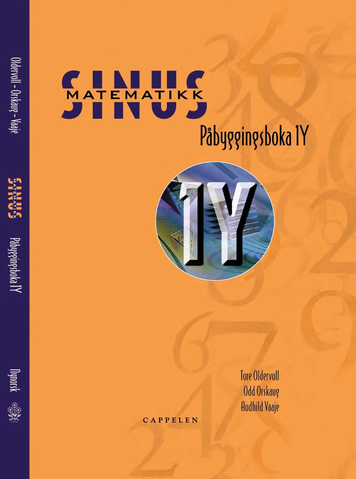 Sinus : påbyggingsboka 1Y
