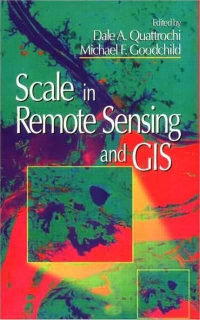 Scale in Remote Sensing and GIS