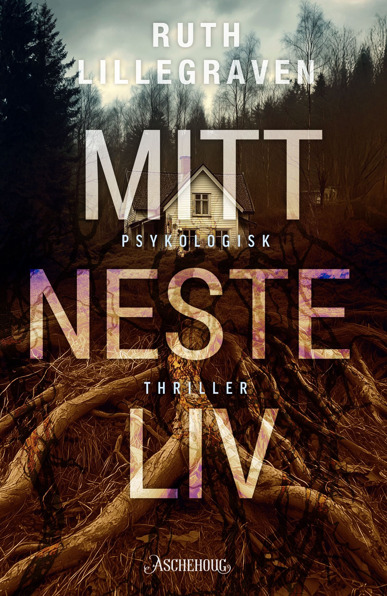 Mitt neste liv : psykologisk thriller