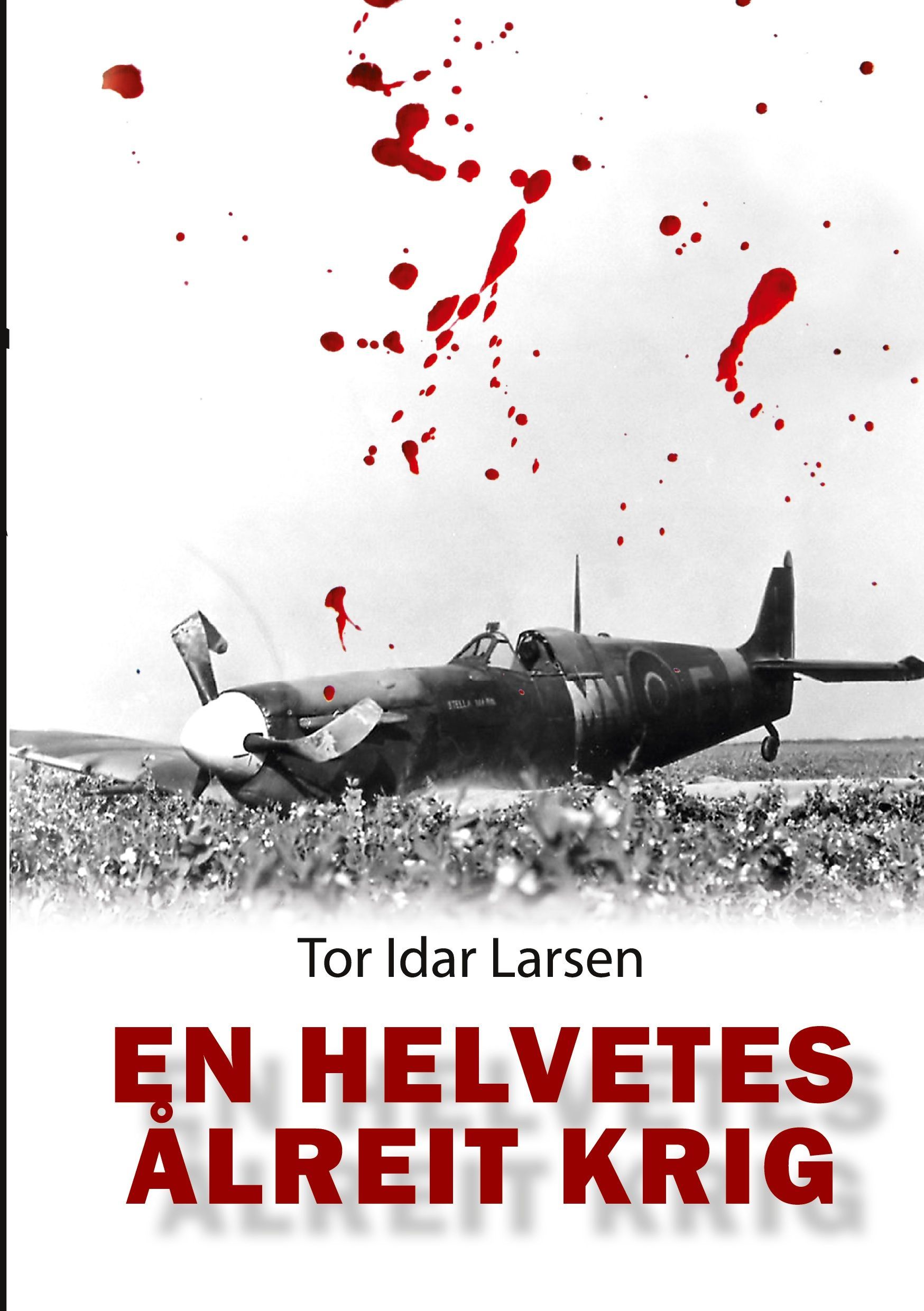 Forsidebilde av En helvetes ålreit krig
