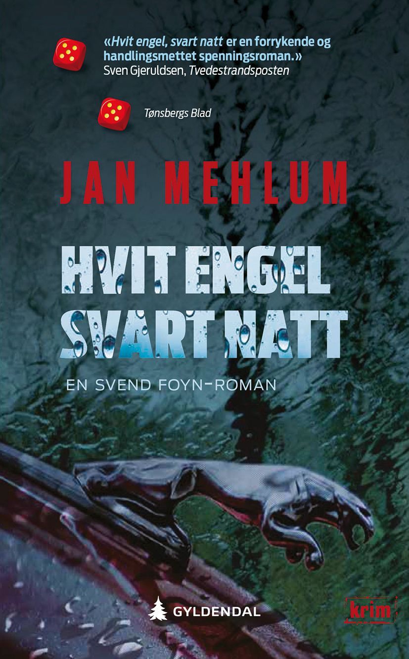 Hvit engel, svart natt : kriminalroman