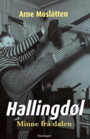 Hallingdøl : minne frå dalen