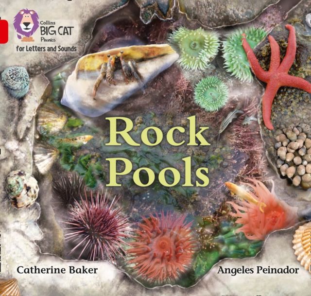 Rock Pools : Band 02b/Red B
