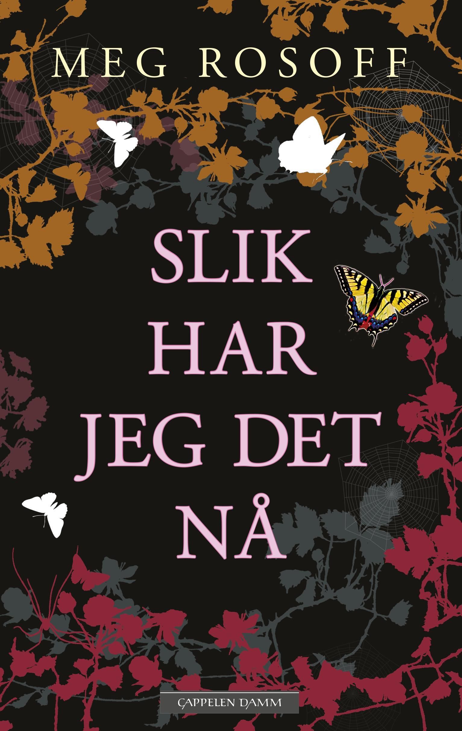 Slik har jeg det nå