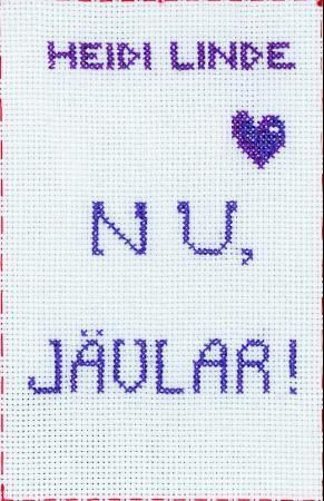 Nu, jävlar! : roman