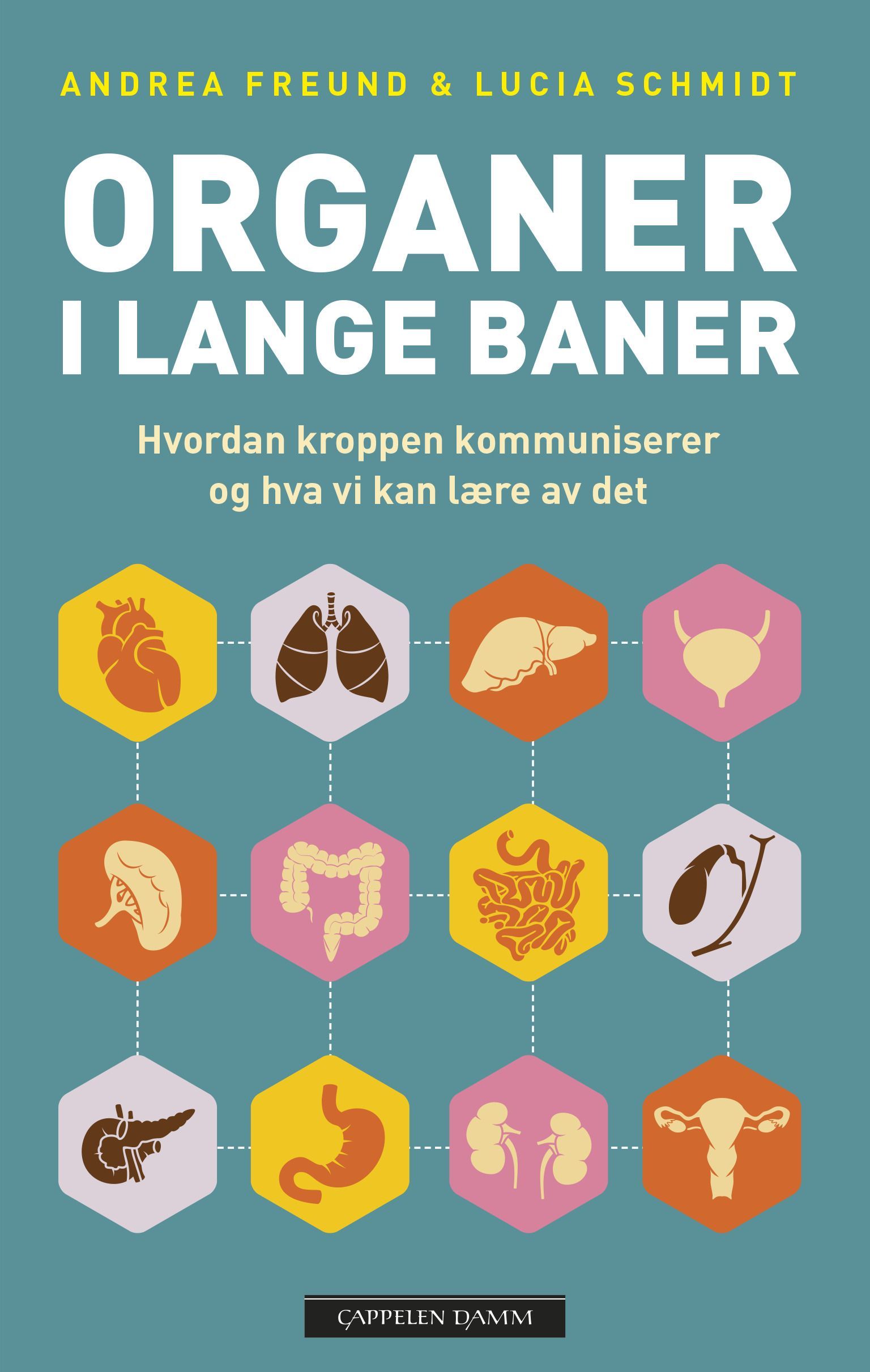 Organer i lange baner : hvordan kroppen kommuniserer og hva vi kan lære av det