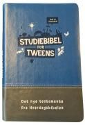 Studiebibel for tweens : Det nye testamente : fra hverdagsbibelen