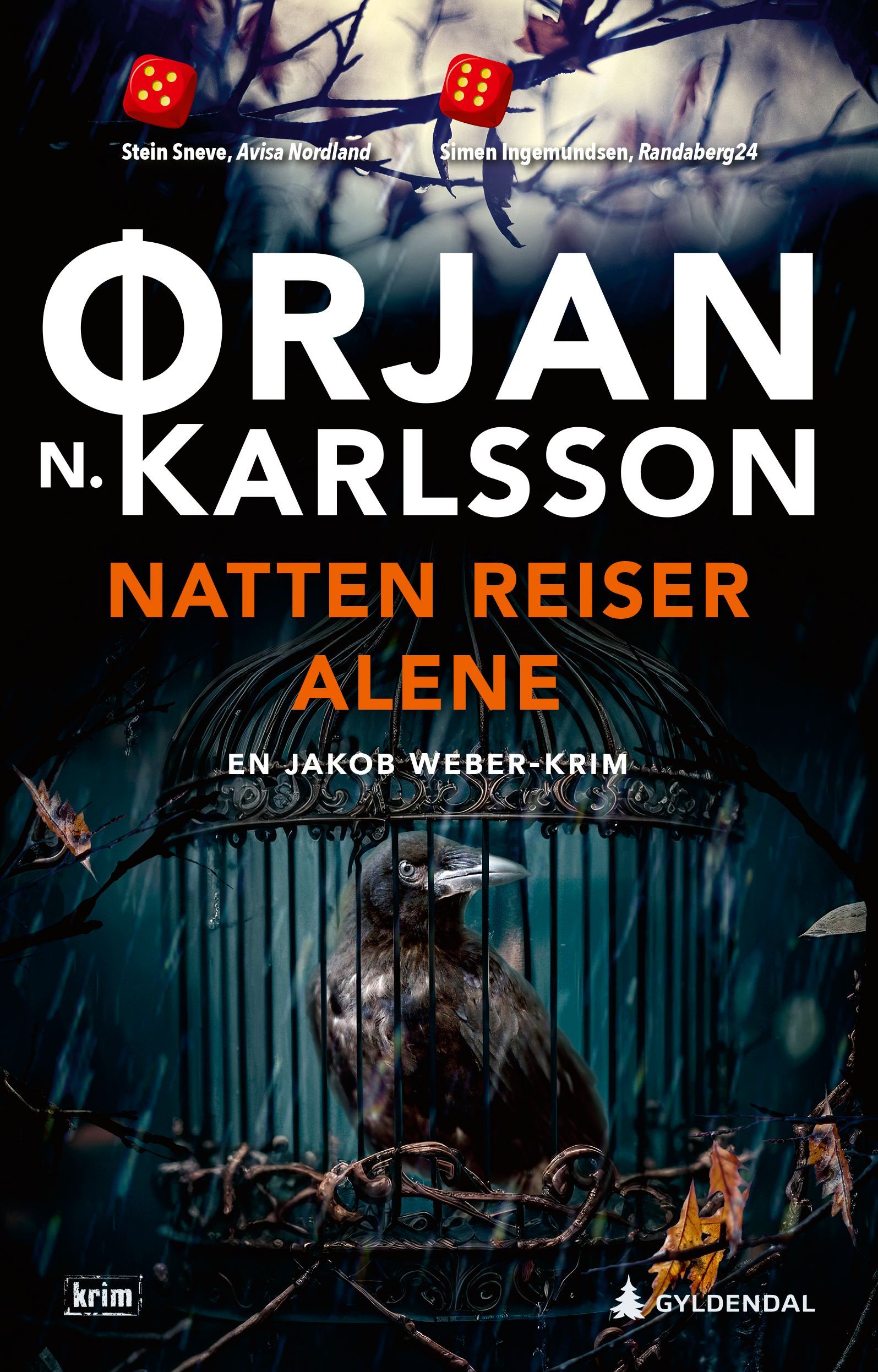 Natten reiser alene : kriminalroman