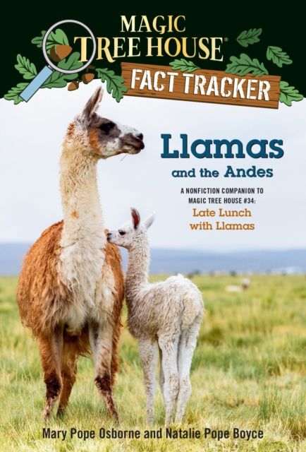 Llamas and the Andes : A Nonfiction Companion to Magic Tree House #34: Late Lunch with Llamas