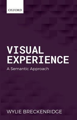 Visual Experience : A Semantic Approach