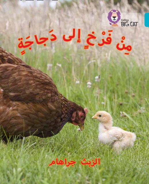 Chick to Hen : Level 7