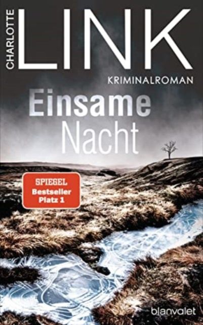 Einsame Nacht : Kriminalroman