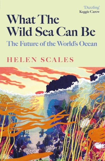 What the Wild Sea Can Be : The Future of the World's Ocean