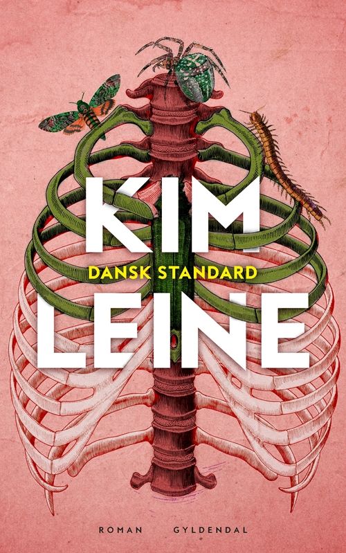 Dansk standard : roman