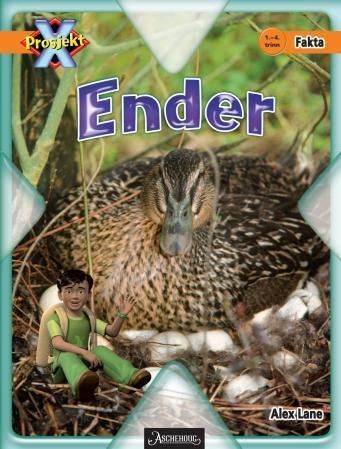 Ender