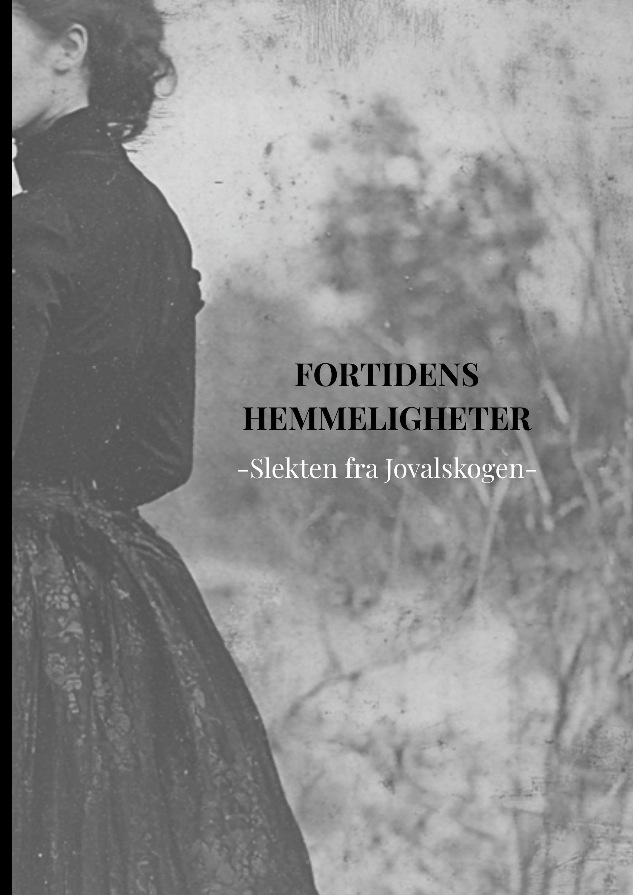 Fortidens hemmeligheter : slekten fra Jovalskogen i Rødenes