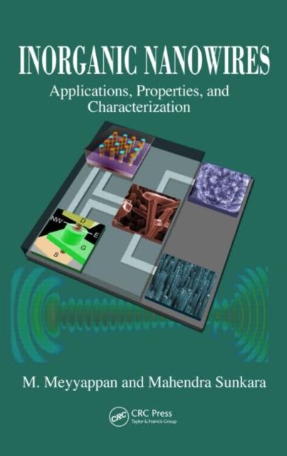 Inorganic Nanowires : Applications, Properties, and Characterization