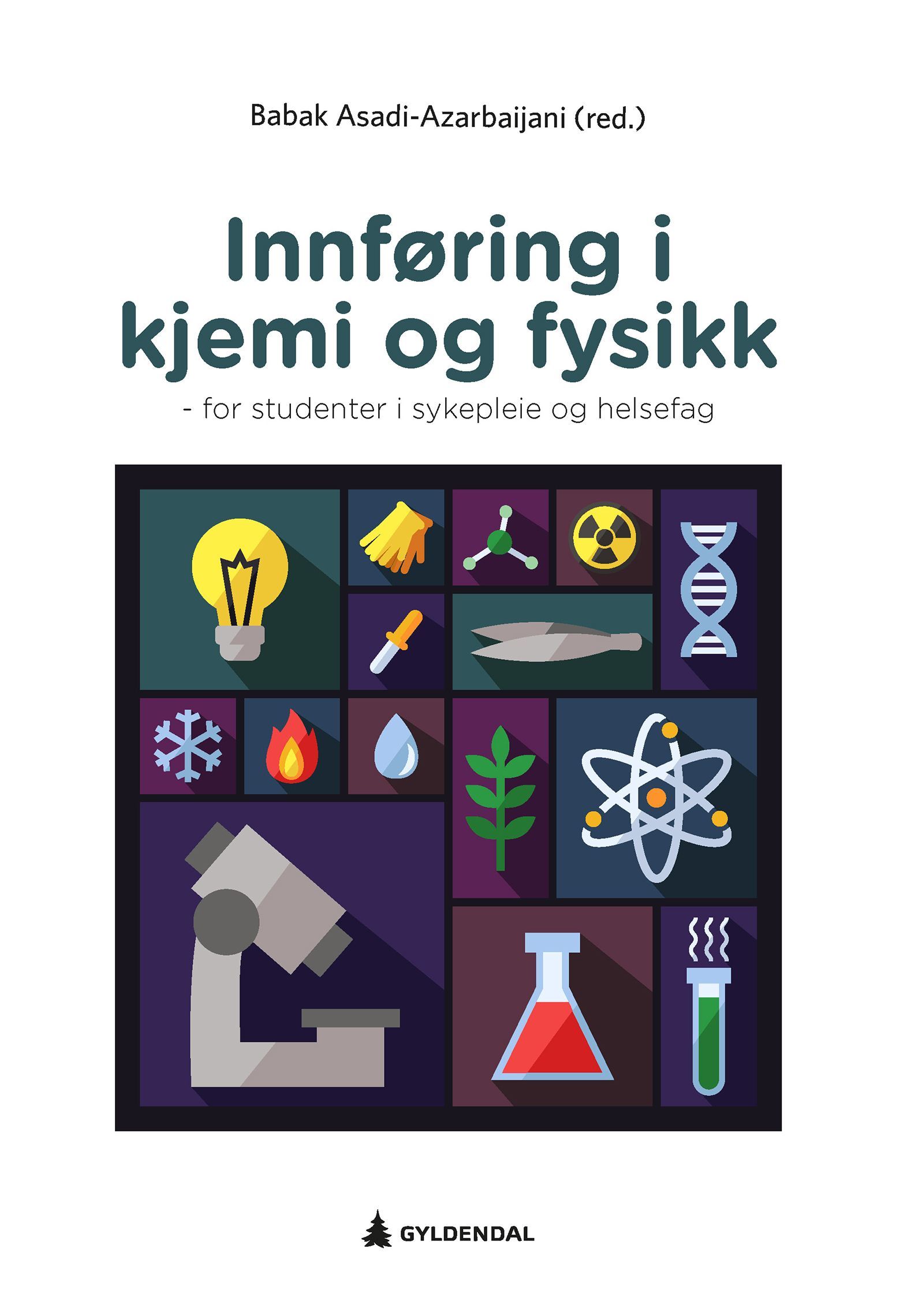 Innføring i kjemi og fysikk : for studenter i sykepleie og helsefag