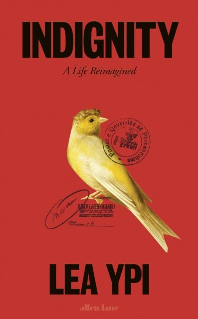 Indignity : A Life Reimagined