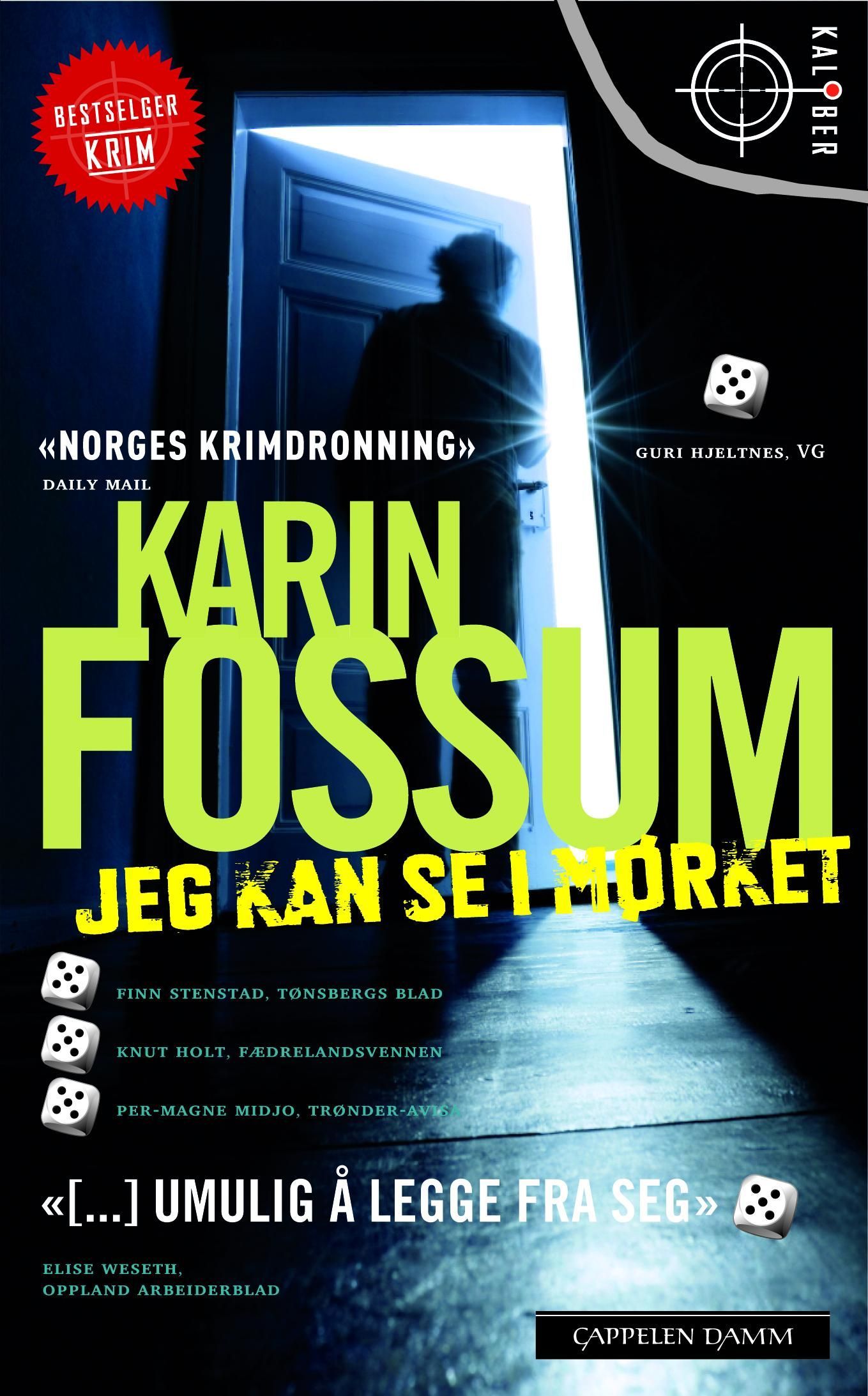 Jeg kan se i mørket : roman