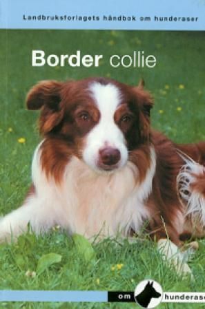 Border collie : en håndbok for kjøp, stell, fôring, oppdragelse, trening, sysselsetting, helse, oppdrett, gjeting og konkurranser