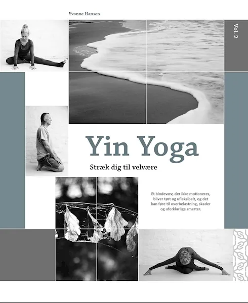 Forsidebilde av Yin yoga : stræk dig til velvære. Vol. 2