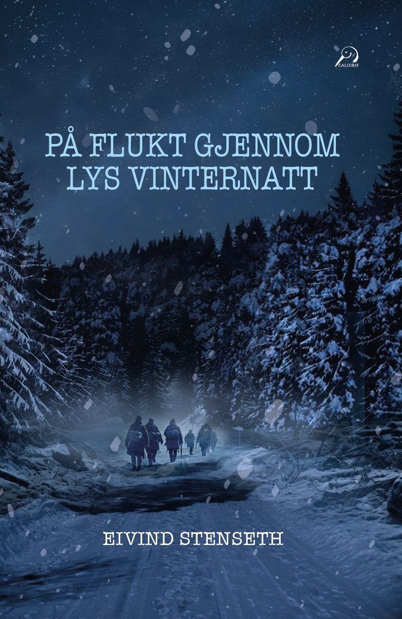 Forsidebilde av På flukt gjennom lys vinternatt
