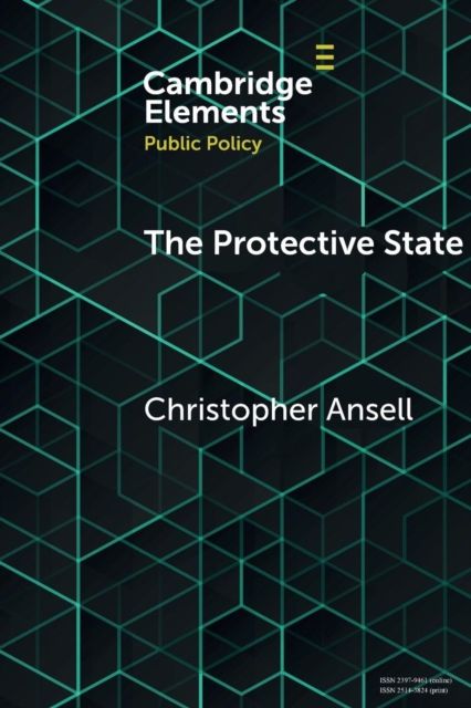 The Protective State