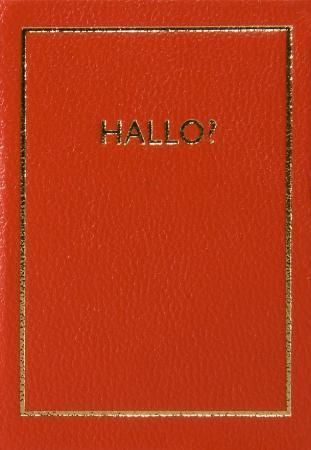 Forsidebilde av Hallo?