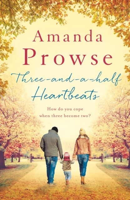 Three-and-a-Half Heartbeats : An emotional story of loss and family from the multimillion copy bestseller