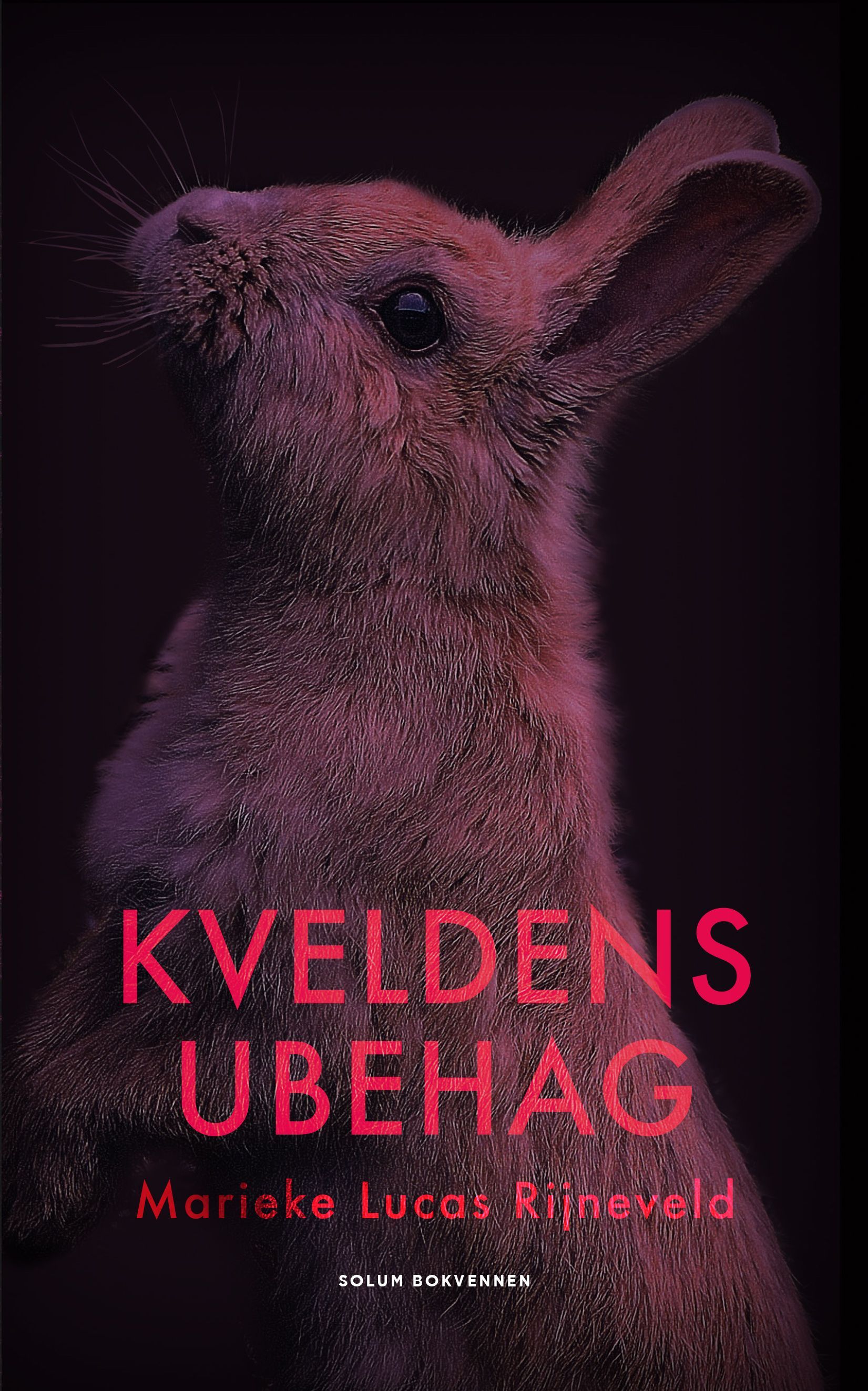 Kveldens ubehag : roman