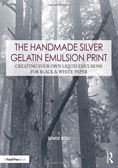 The Handmade Silver Gelatin Emulsion Print : Creating Your Own Liquid Emulsions for Black & White Paper