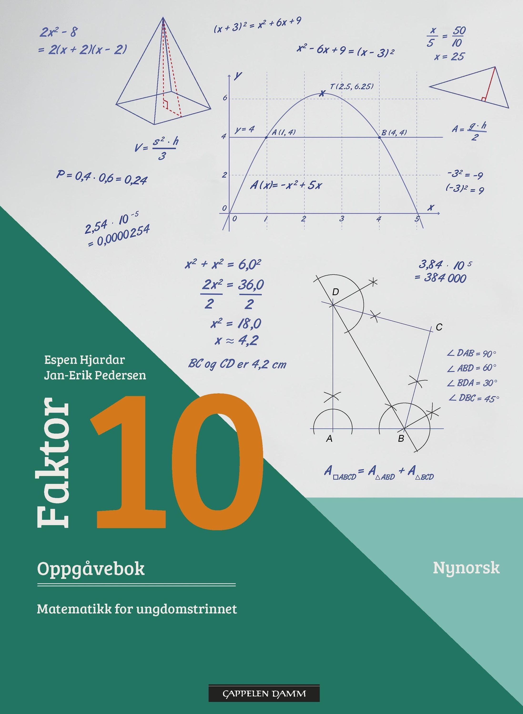 Faktor 10 : matematikk for ungdomstrinnet. Oppgåvebok