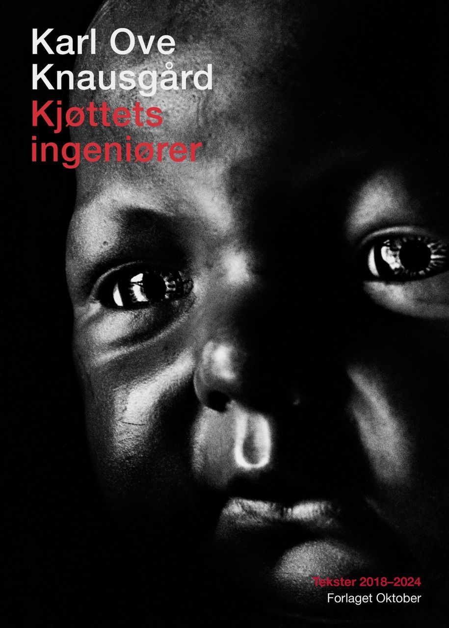 Kjøttets ingeniører : tekster 2018–2024