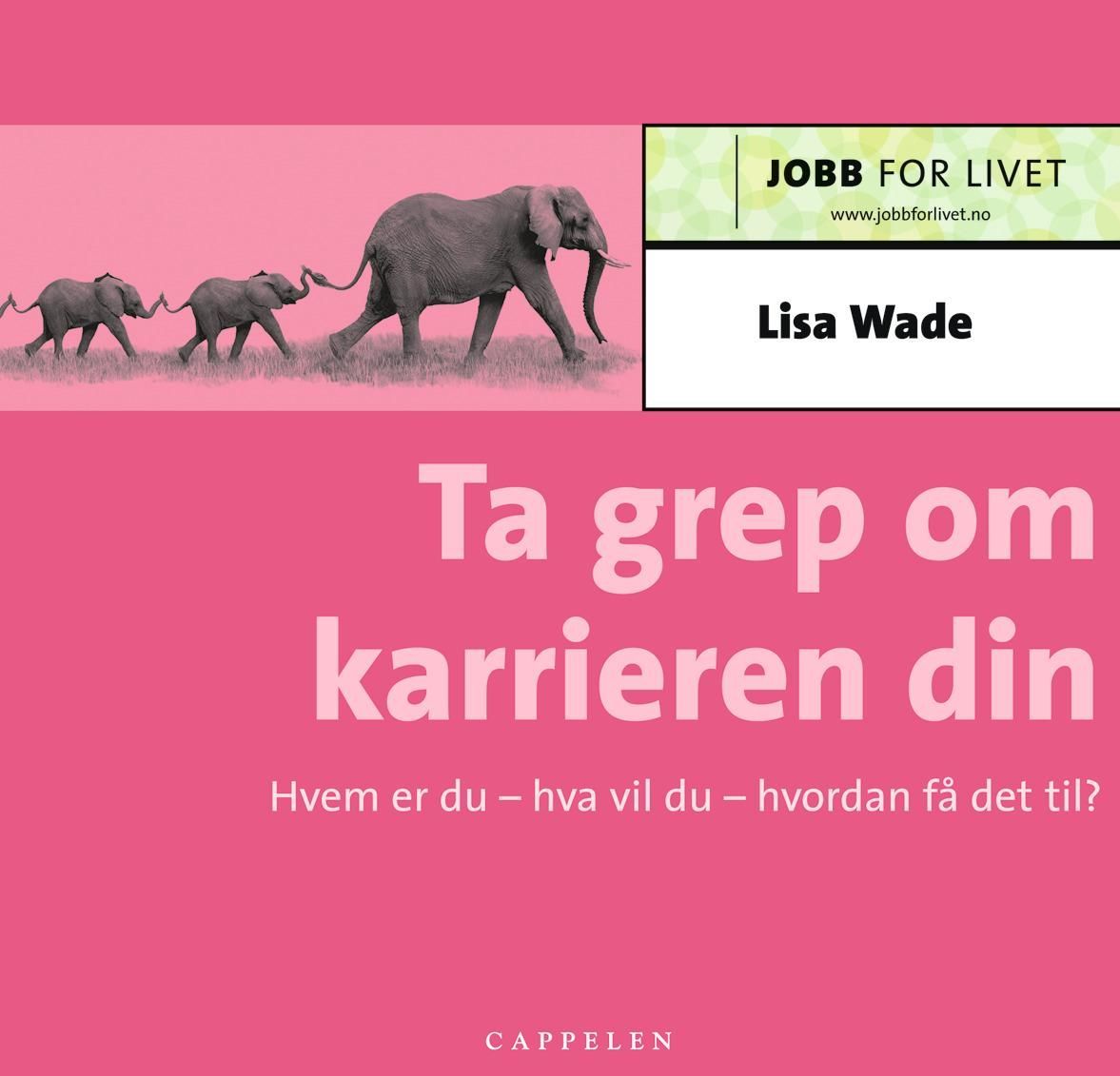 Ta grep om karrieren din : hvem er du, hva vil du, hvordan få det til?