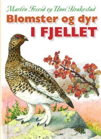 Blomster og dyr i fjellet : for små og store fjellfolk