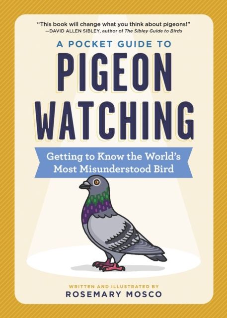 A pocket guide to penguin watching : getting to know the world's most misunderstood bird