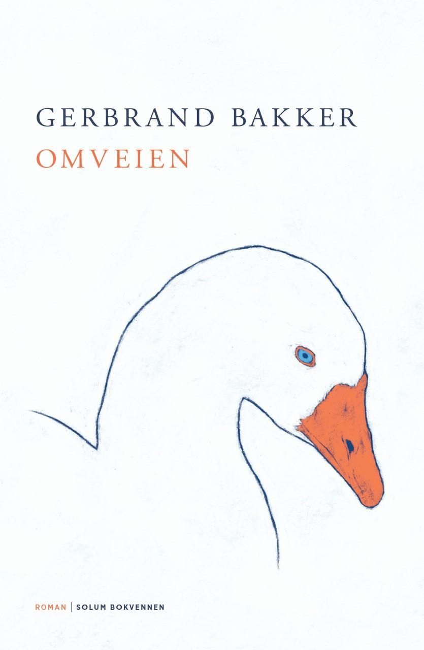 Omveien : roman