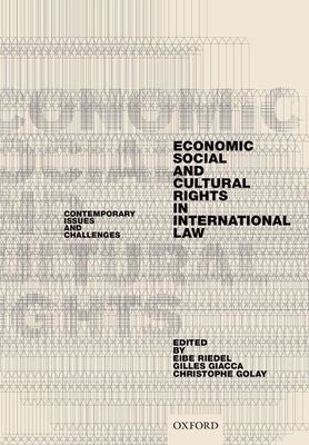 Economic, Social, and Cultural Rights in International Law : Contemporary Issues and Challenges