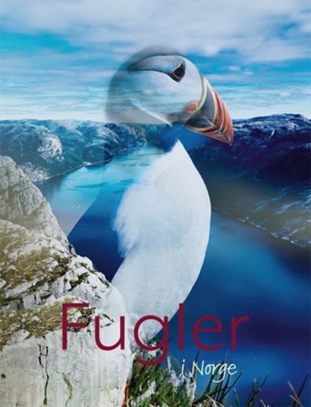 Fugler