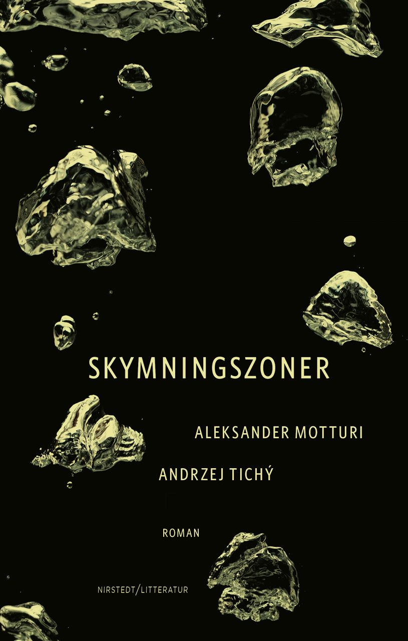 Skymningszoner : roman