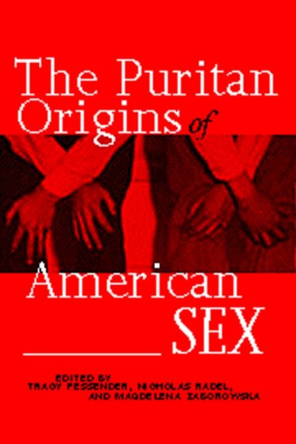 The Puritan Origins of American Sex : Religion, Sexuality, and National Identity in American Literature