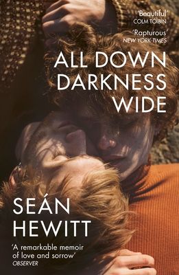All Down Darkness Wide : A Memoir